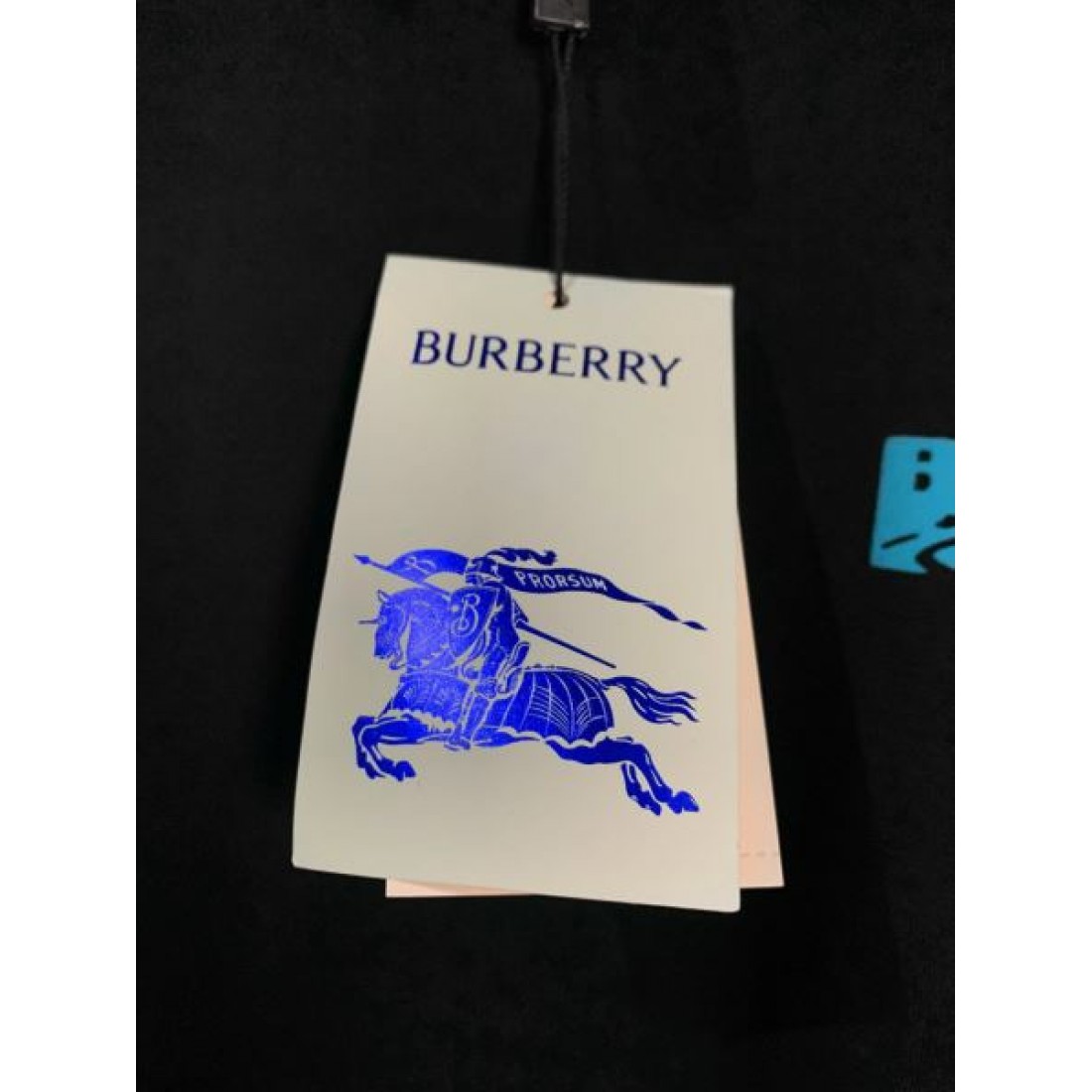 2025SS 半袖Tシャツ BURBERRY バーバリー コピー お洒落さん必携 - 画像 (9)