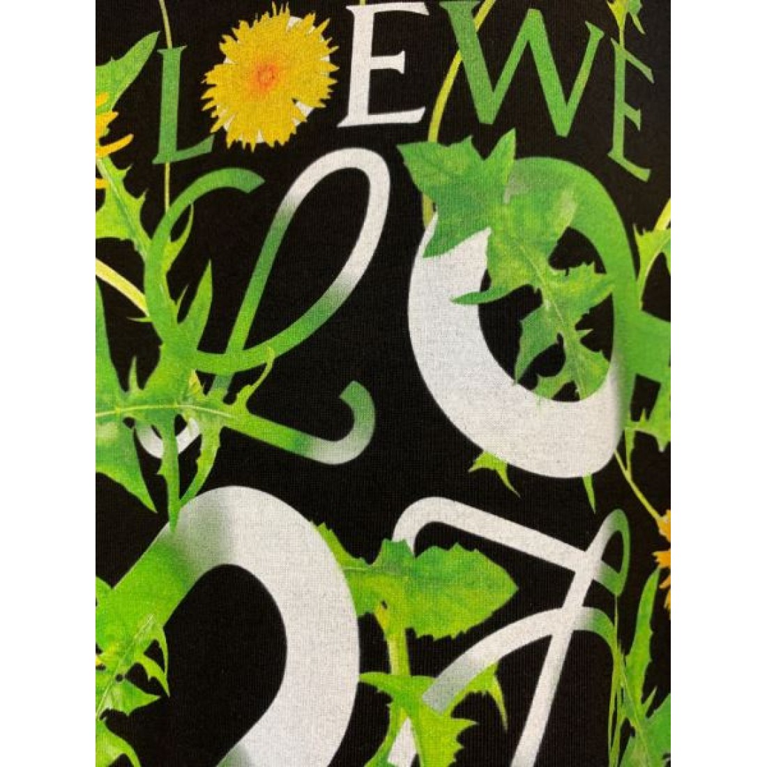2025SS 半袖Tシャツ LOEWE ロエベ コピー これは買い - 画像 (7)