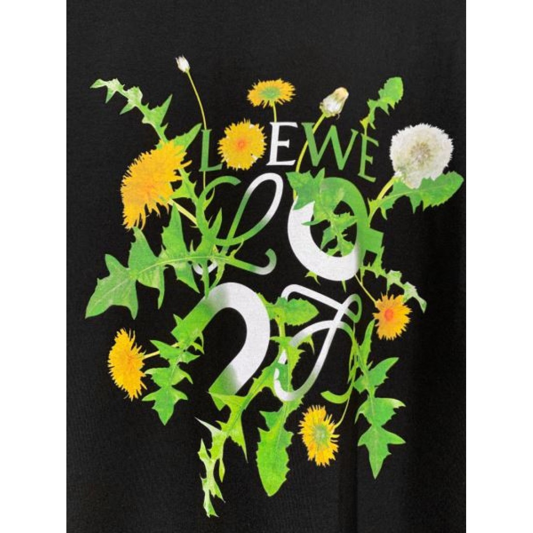2025SS 半袖Tシャツ LOEWE ロエベ コピー これは買い - 画像 (8)