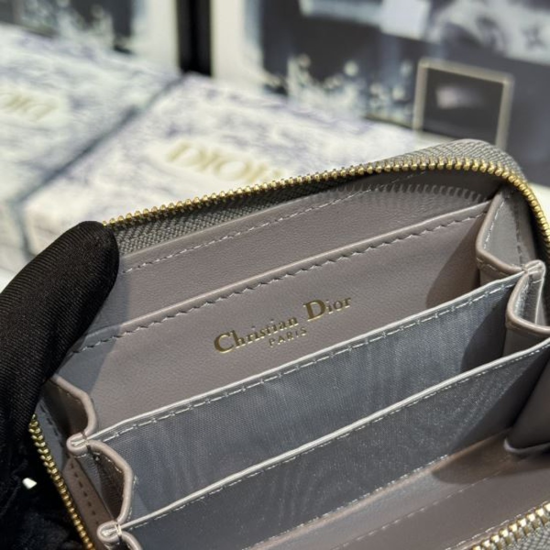 DIOR ディオール 2024SS 春先にはもってこいの色 カードケース - 画像 (9)